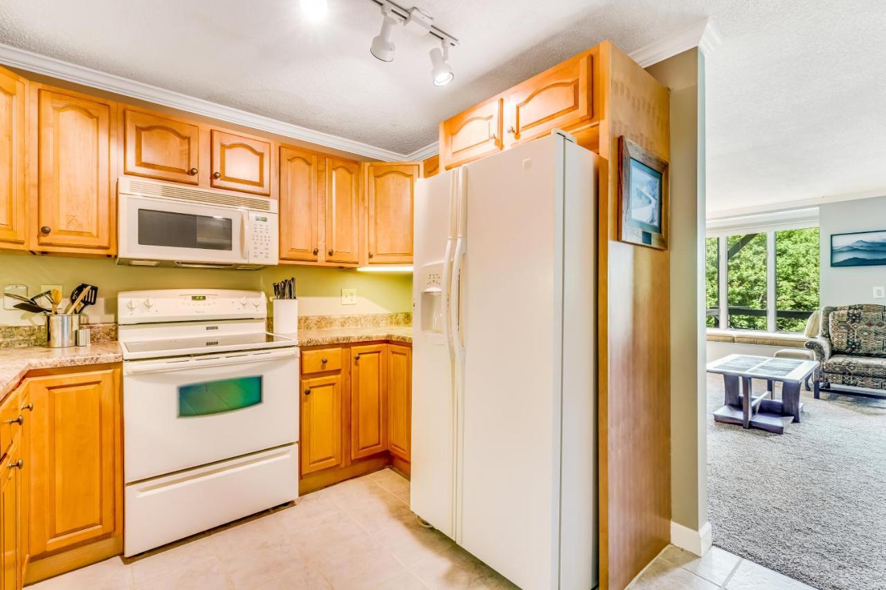 Skyleaf Retreat Apartment Шугър Маунтин Екстериор снимка